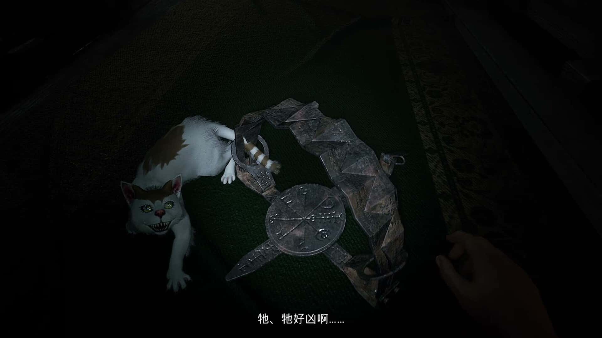 视觉数据5